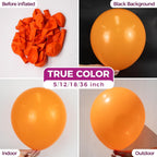 Orange Balloons Latex Party Balloons - 100 Pack 12 Inch Orange Round Helium Balloons for Birthday Baby Shower Halloween Party Decoration