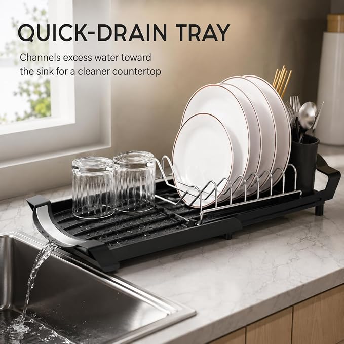 Dish Racks