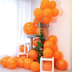 12 inch Burnt Orange Latex Balloons, 50 Pack with Orange Ribbon - Helium Quality for Birthday, Graduation, Baby Shower, Halloween, Christmas, Wedding Parties